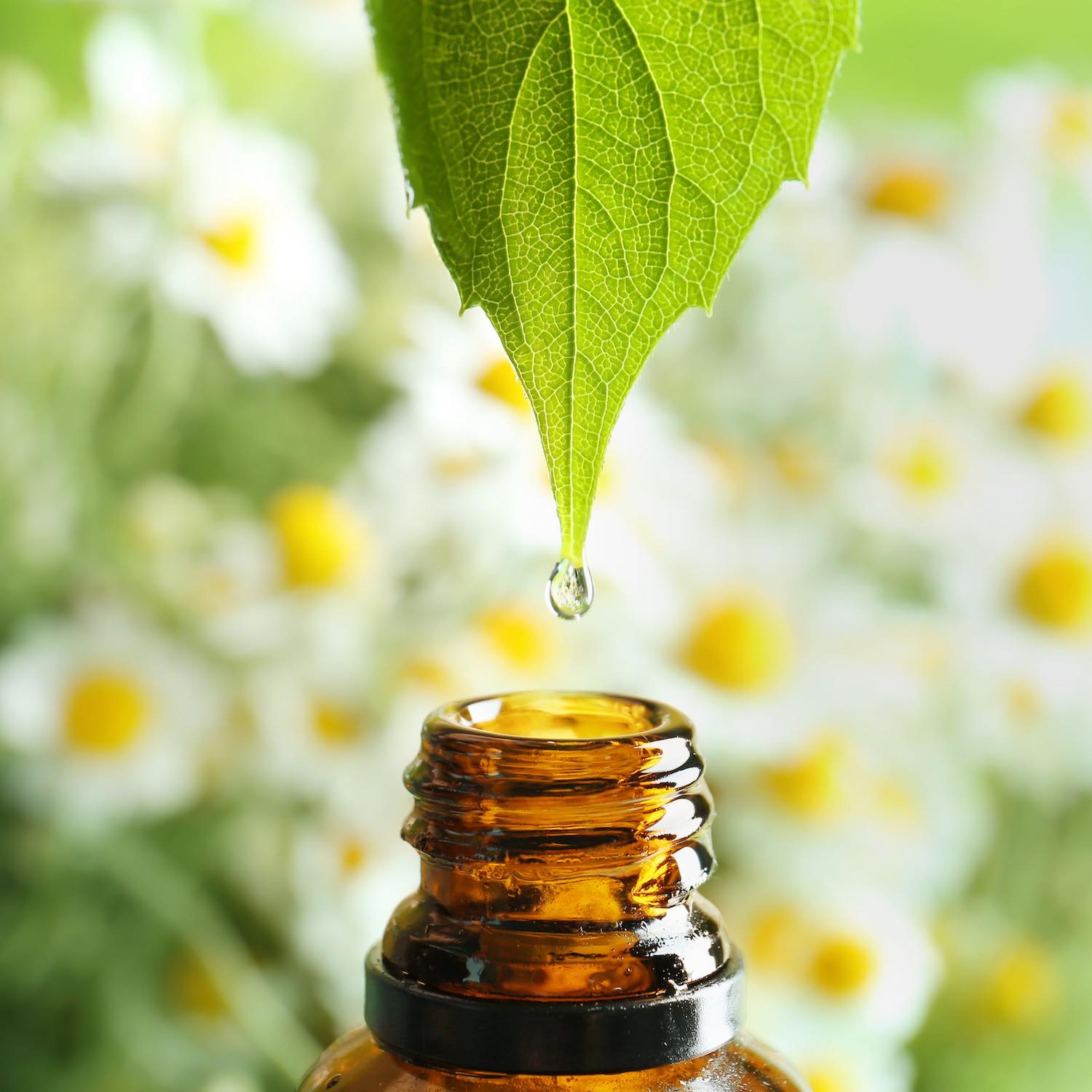 Aromathérapie 5 Aromathérapie, huiles essentielles, Pharmacie du Centre à Évron